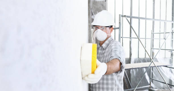 Mold Odor Removal Services in Milroy, PA