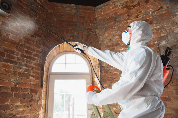 Best Industrial Mold Remediation  in Milroy, PA